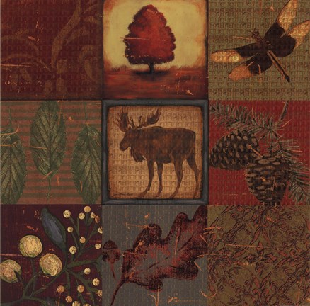 Framed Teton Tapestry II Print