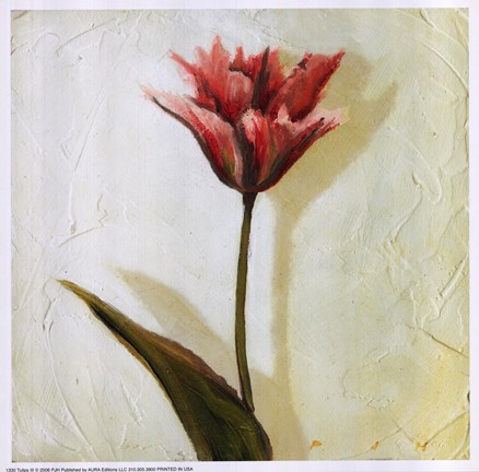 Framed Tulip III Print