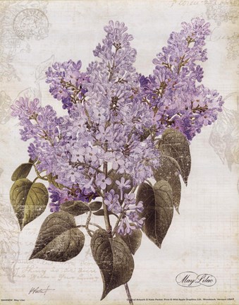 Framed May Lilac Print