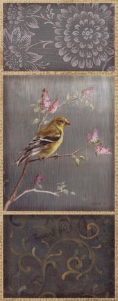 Framed Female Goldfinch Print