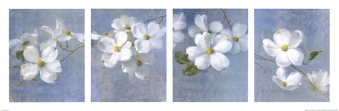Framed Blossom Panel Print