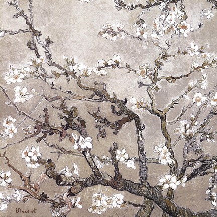 Framed Blossoming Almond Tree, Saint-Remy, c.1890 BW Print