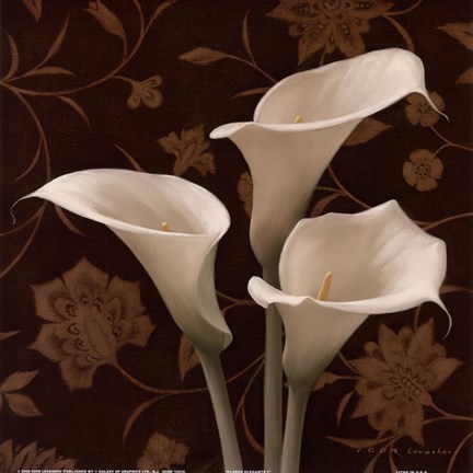 Framed Flores Elegante I Print