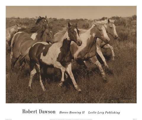 Framed Horses Running II Print