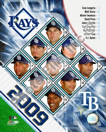 Framed 2009 Tampa Bay Rays Team Composite Print