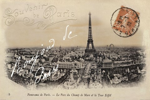 Framed Panorama de Paris Print