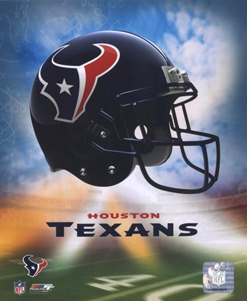 Framed 2009 Houston Texans Team Logo Print