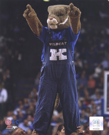 Framed University of Kentucky Wildcats Mascot Print