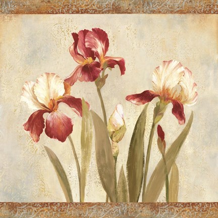 Framed Iris Tapestry II Print