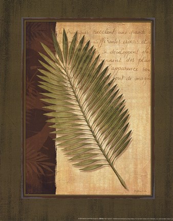 Framed Palm Tropical III Print