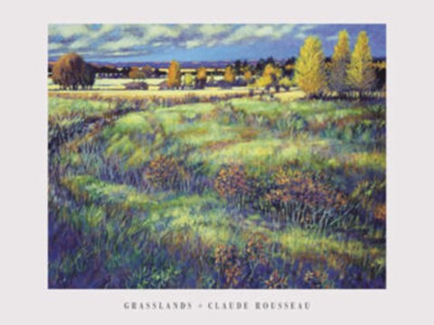 Framed Grasslands Print