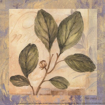 Framed Leaf Botanicals IV - petite Print