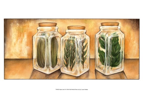 Framed Spice Jars II Print