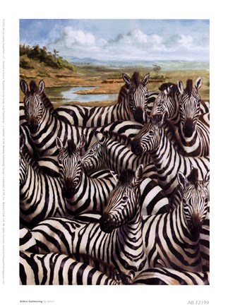 Framed Zebra Gathering Print