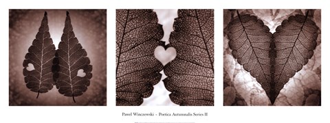 Framed Poetica Autumnalis Series II Print