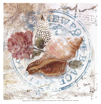 Framed Seashells By The Seashore II Print