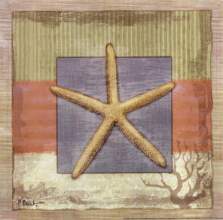 Framed Montego Starfish Print