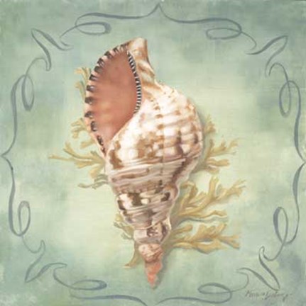 Framed Seashells I Print