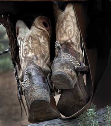 Framed Boots &#39;N Spurs V Print