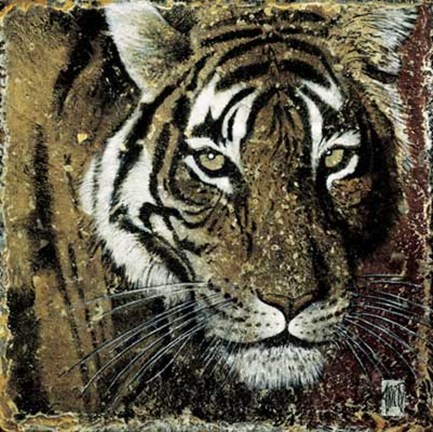 Framed Portrait de Tigre Print