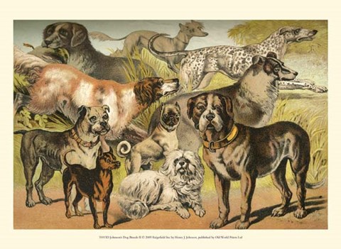 Framed Johnson&#39;s Dog Breeds II Print