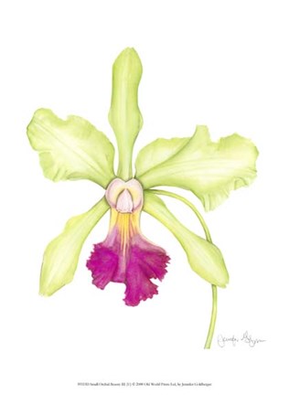 Framed Small Orchid Beauty III (U) Print