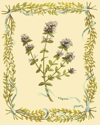 Framed Small Thyme Print