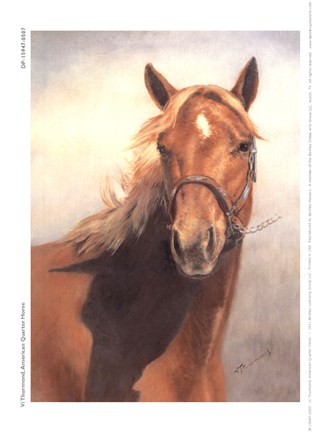 Framed American Quarter Horse Print