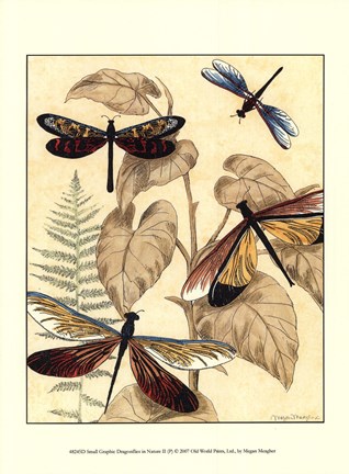 Framed Sm. Graphic Dragonflies II (P) Print