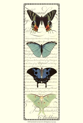 Framed Small Butterfly Prose Panel II Print