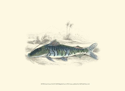 Framed Lizars&#39; Game Fish II Print