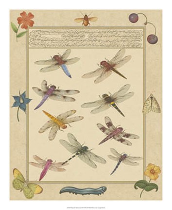 Framed Dragonfly Manuscript III Print