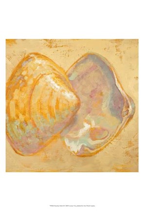 Framed Shoreline Shells II Print