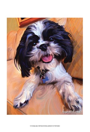 Framed Shihtzu Baby Print