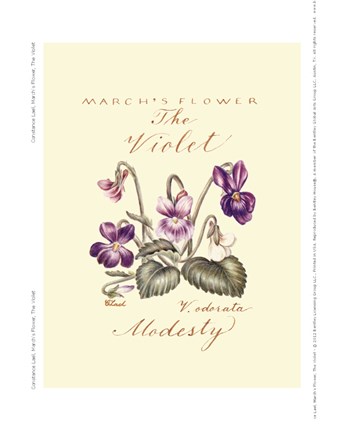 Framed March&#39;s Flower, The Violet Print