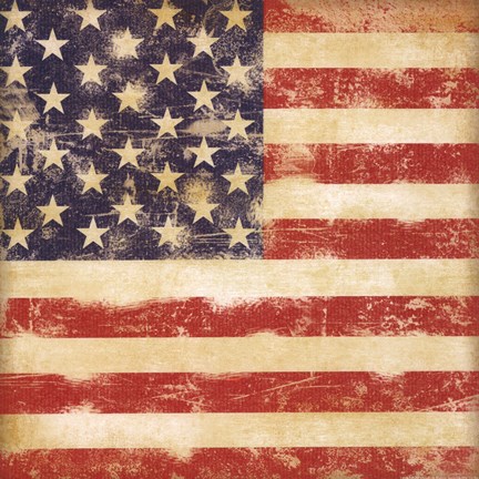 Framed USA Flag Print