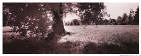 Framed Summer Afternoon, West Sussex Print