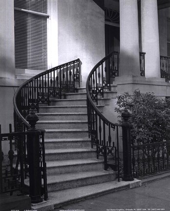 Framed Savannah Stairs I Print