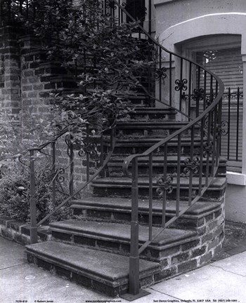 Framed Savannah Stairs III Print