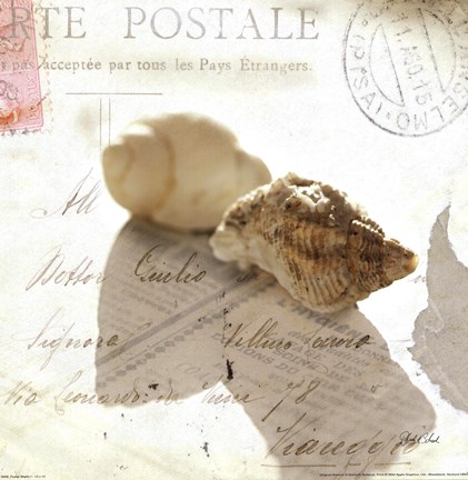 Framed Postal Shells I Print