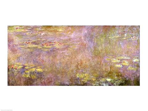 Framed Waterlilies, after 1916 Print