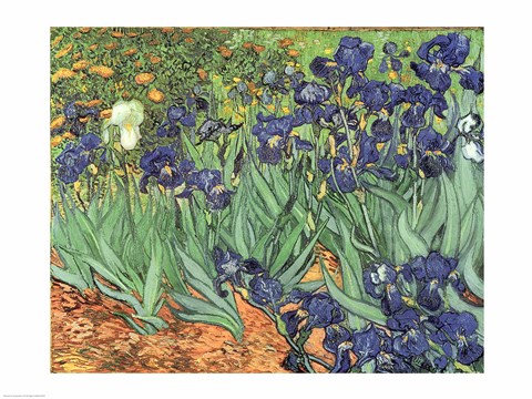 Framed Irises, 1889 Print