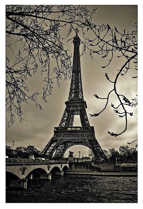 Framed Curves of Eiffel Print