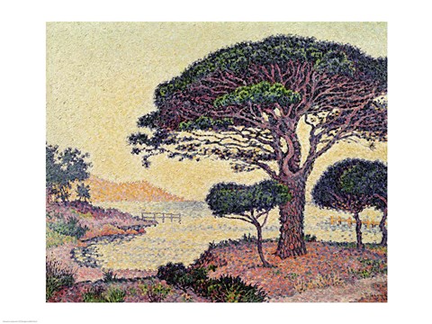 Framed Umbrella Pines at Caroubiers, 1898 Print