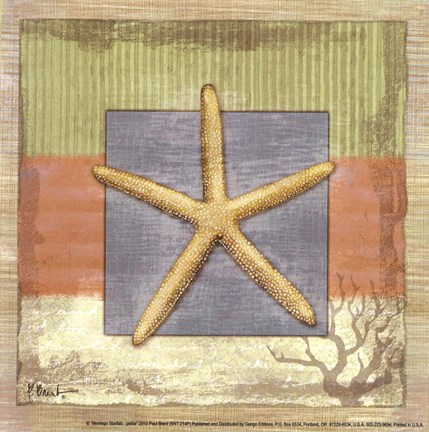 Framed Montego Starfish- petite Print