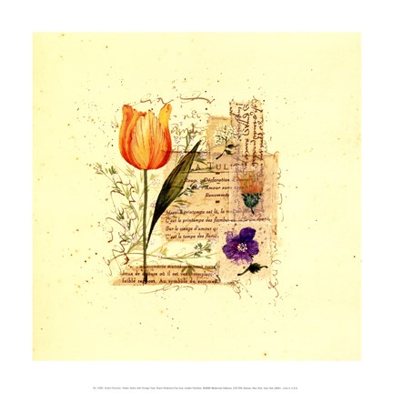 Framed Flower Notes with Orange Tulip Print