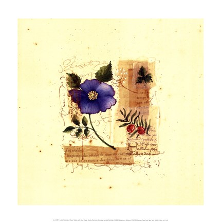 Framed Flower Notes with Blue Poppy Print