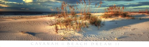 Framed Beach Dream II Print