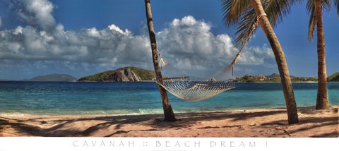 Framed Beach Dream I Print