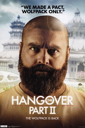 Framed Hangover 2 - Alan Print